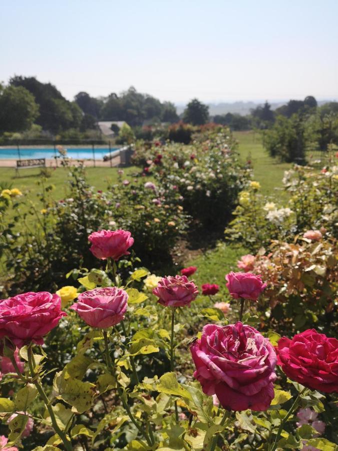 Villa Meublé de campagne au calme à Louchy-Montfand Extérieur photo